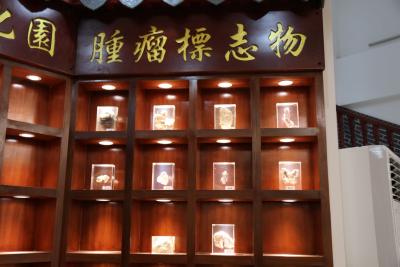 贲门癌中期症状的中医解析